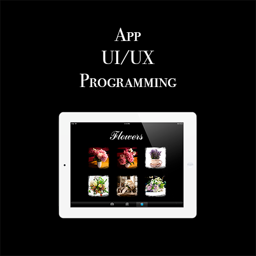 App, UI/UX, Programming
